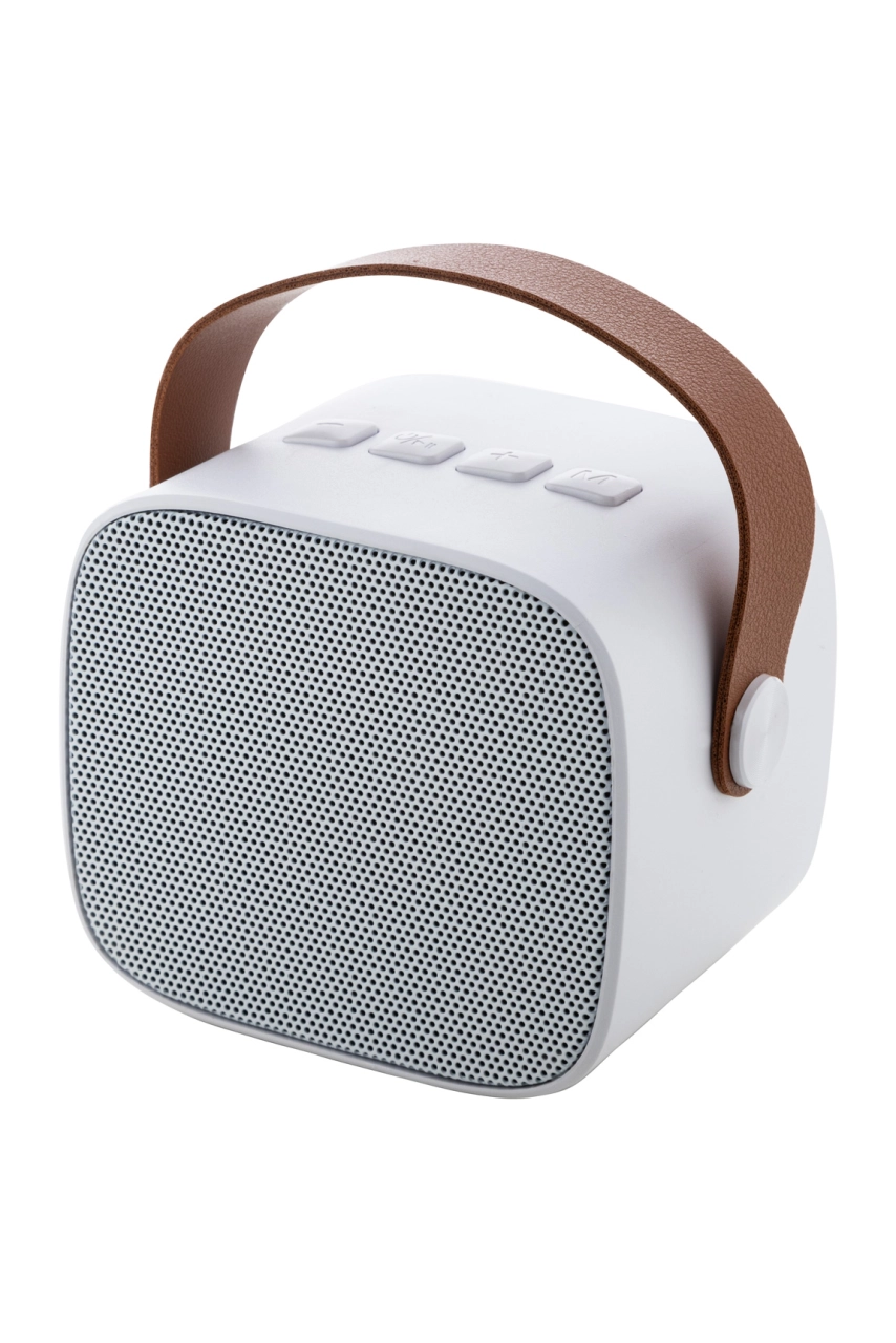 Enceinte bluetooth RABS